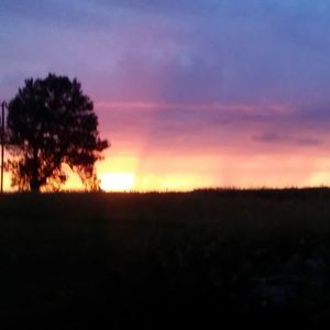 Meet your Posher, Rene